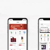 云仓APP代理管理系统软件云仓代发分销层级差系统团队合伙人新零售管理系统平台搭建